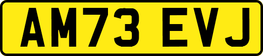 AM73EVJ