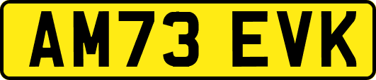 AM73EVK