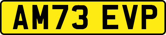 AM73EVP