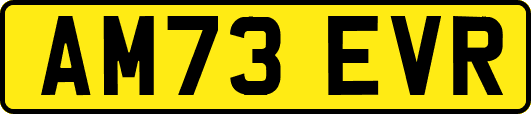 AM73EVR