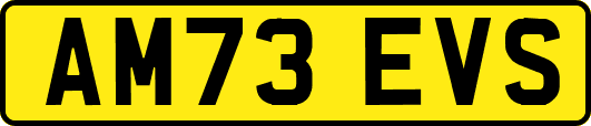 AM73EVS