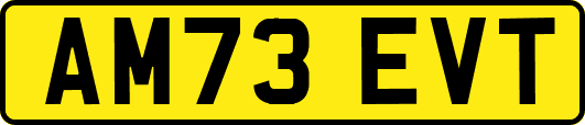AM73EVT