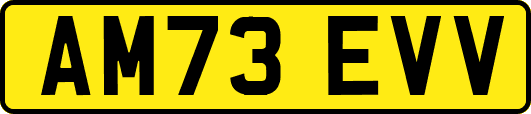 AM73EVV
