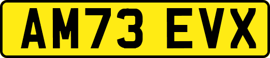 AM73EVX