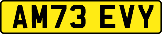 AM73EVY