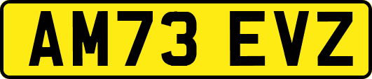 AM73EVZ