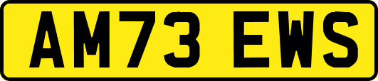 AM73EWS
