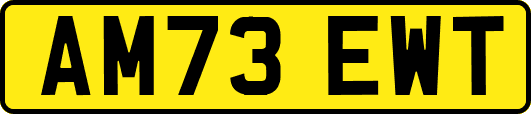 AM73EWT