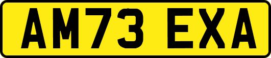 AM73EXA