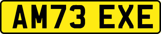 AM73EXE