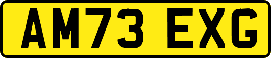 AM73EXG