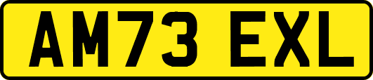 AM73EXL