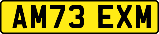 AM73EXM