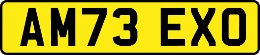 AM73EXO