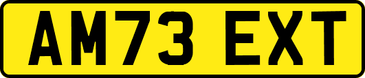 AM73EXT