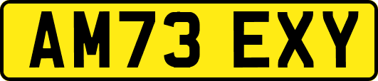 AM73EXY