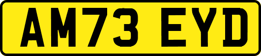 AM73EYD