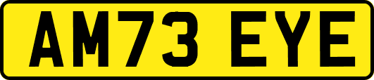 AM73EYE