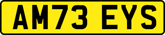 AM73EYS