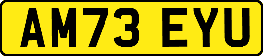 AM73EYU