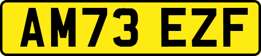 AM73EZF