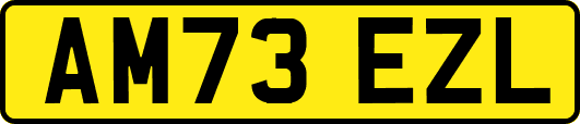 AM73EZL