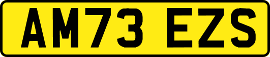 AM73EZS
