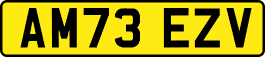AM73EZV