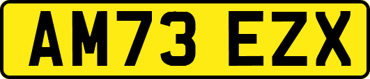 AM73EZX