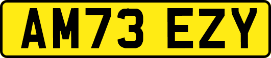 AM73EZY