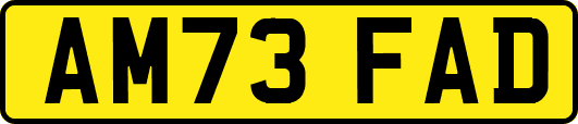 AM73FAD