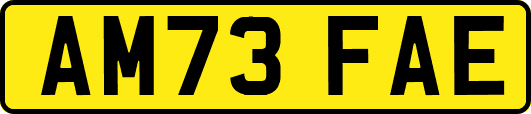 AM73FAE