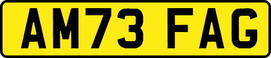 AM73FAG