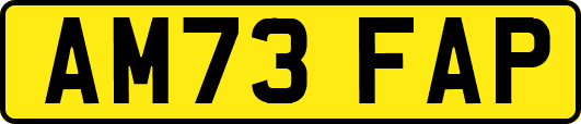 AM73FAP