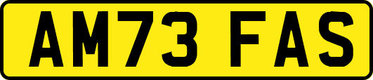 AM73FAS