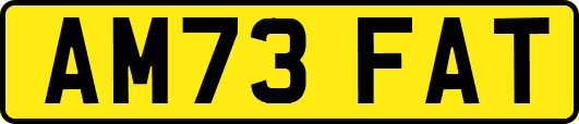 AM73FAT