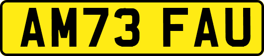 AM73FAU