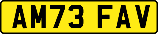 AM73FAV