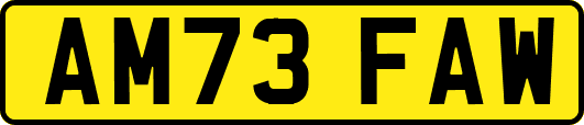 AM73FAW
