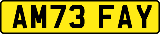 AM73FAY