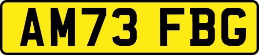 AM73FBG