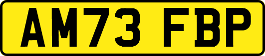 AM73FBP