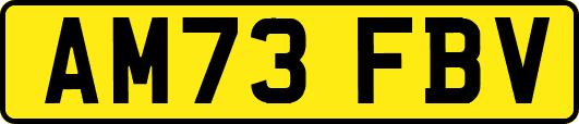 AM73FBV