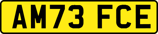 AM73FCE