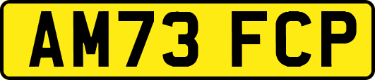 AM73FCP