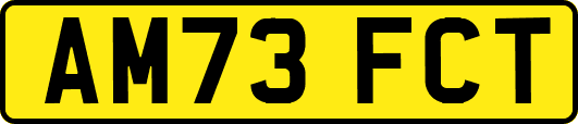 AM73FCT