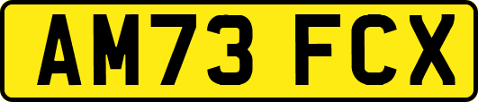 AM73FCX