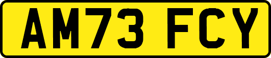 AM73FCY