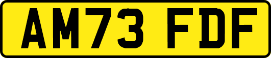 AM73FDF