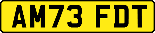 AM73FDT